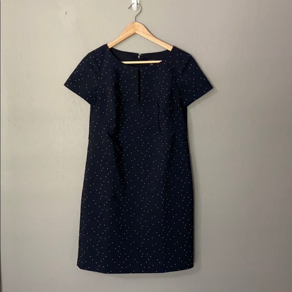 Ann Taylor Navy Shift Dress